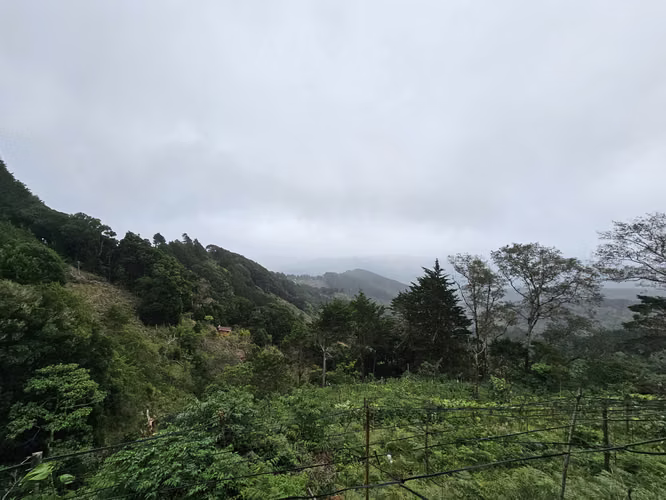 Finca 2.1 Ha con Naciente en León Cortés | 98.5 Millones