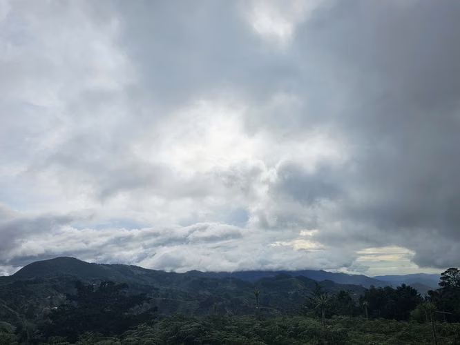 Finca 2.1 Ha con Naciente en León Cortés | 98.5 Millones