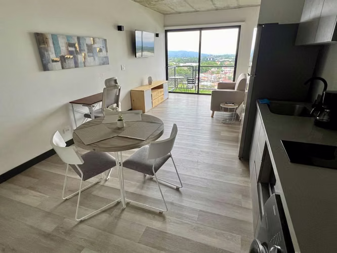 ALQUILER DE APARTAMENTO TIPO STUDIO AMUEBLADO EN CONDOMINIO, POZOS DE SANTA ANA - Imagen 7