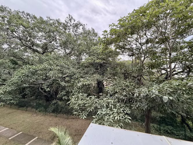 ALQUILER DE APARTAMENTO CON LINEA BLANCA EN CONDOMINIO, SANTA ANA