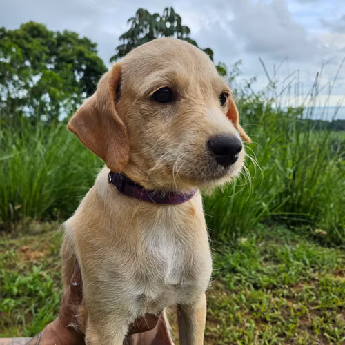 Un chico dulce que busca su hogar definitivo.