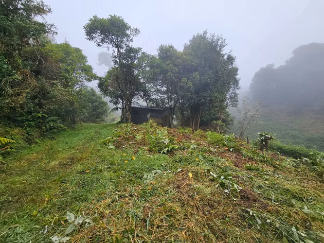 FINCA EN VENTA EN CAÑÓN DEL GUARCO – 6.000 m² CON NACIENTE - 30 MILLONES - Imagen 7