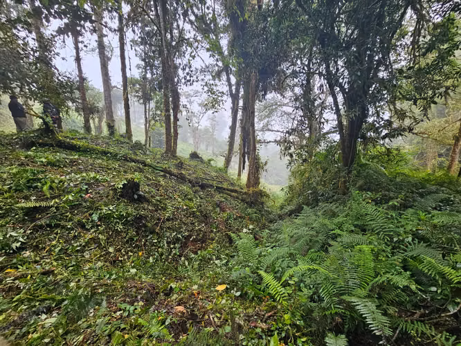 FINCA EN VENTA EN CAÑÓN DEL GUARCO – 6.000 m² CON NACIENTE - 30 MILLONES - Imagen 17