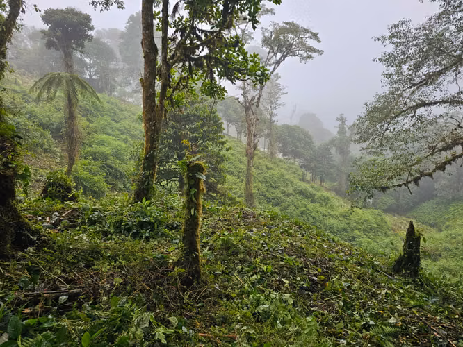 FINCA EN VENTA EN CAÑÓN DEL GUARCO – 6.000 m² CON NACIENTE - 30 MILLONES - Imagen 16