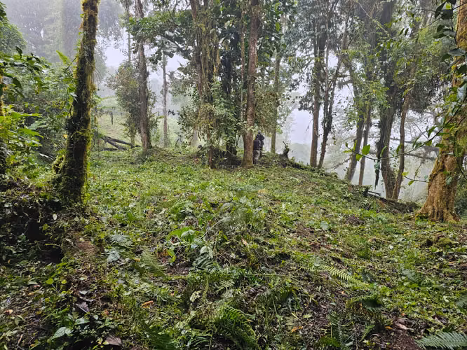 FINCA EN VENTA EN CAÑÓN DEL GUARCO – 6.000 m² CON NACIENTE - 30 MILLONES - Imagen 18
