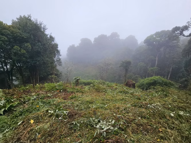 FINCA EN VENTA EN CAÑÓN DEL GUARCO – 6.000 m² CON NACIENTE - 30 MILLONES - Imagen 11