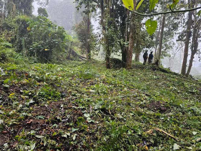 FINCA EN VENTA EN CAÑÓN DEL GUARCO – 6.000 m² CON NACIENTE - 30 MILLONES - Imagen 20