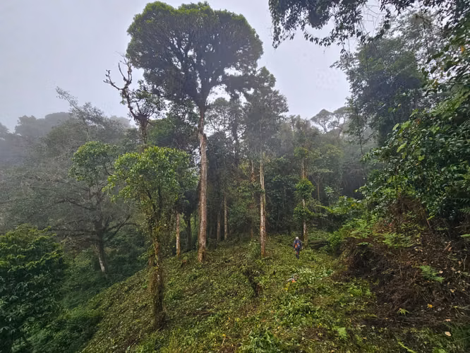FINCA EN VENTA EN CAÑÓN DEL GUARCO – 6.000 m² CON NACIENTE - 30 MILLONES - Imagen 15