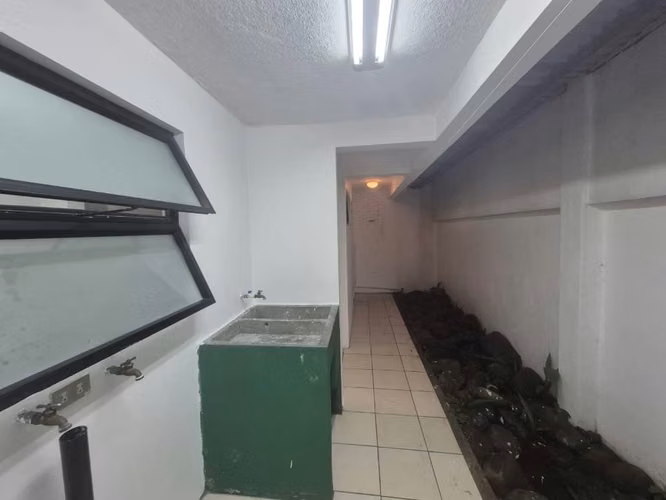 ALQUILER DE CONDOMINIO EN FRESES DE CURRIDABAT ( 2 HABITACIONES ) - Imagen 4