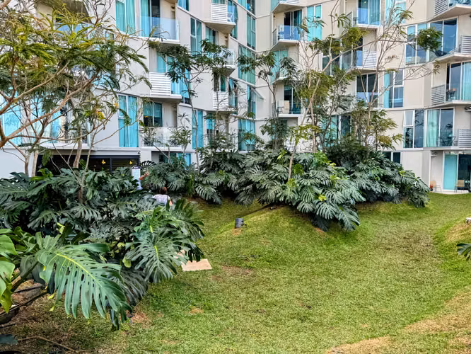 Apartamento Secrt Sabana amueblado 2 habitaciones