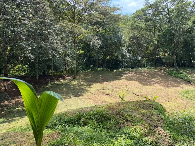 Venta de lote En Coyolar De Orotina Cerca De Ruta 34 - Imagen 7