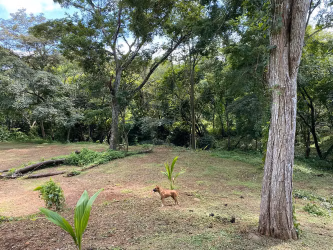 Venta de lote En Coyolar De Orotina Cerca De Ruta 34 - Imagen 5