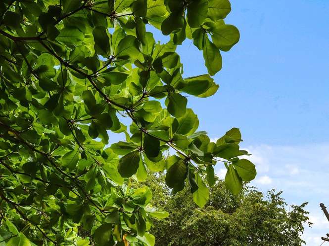 Ocotal Dos | Dos unidades listas para habitar entre Playas del Coco y Playa Ocotal - Imagen 36