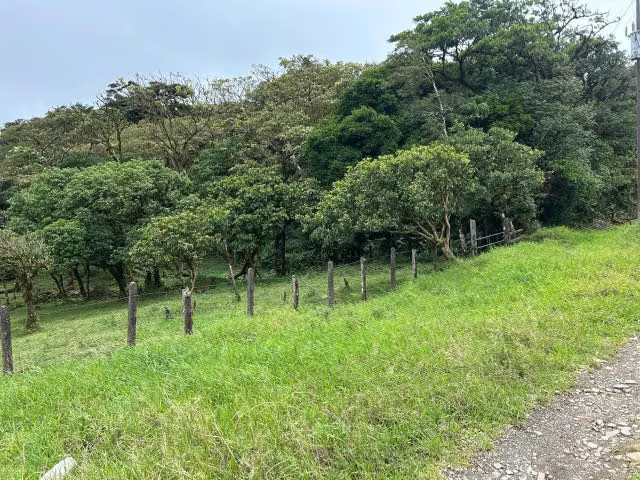 Venta de Lote en Palmital de Puntarenas. 26-15 - Imagen 2
