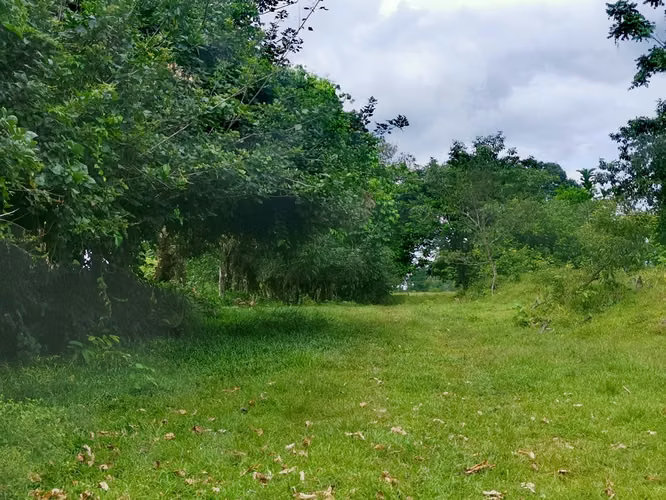 Venta de terreno en Guápiles, Limón 15795 - Imagen 7