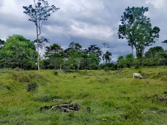 Venta de terreno en Guápiles, Limón 15795 - Imagen 8