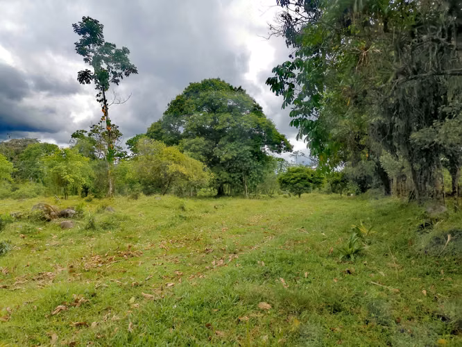 Venta de terreno en Guápiles, Limón 15795 - Imagen 6