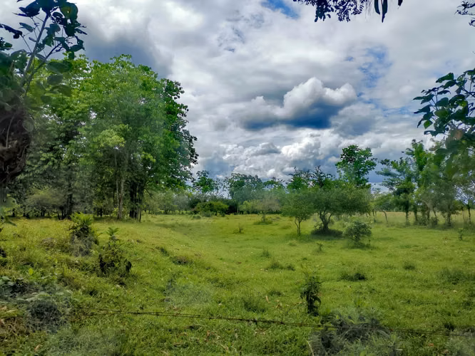 Venta de terreno en Guápiles, Limón 15795 - Imagen 5