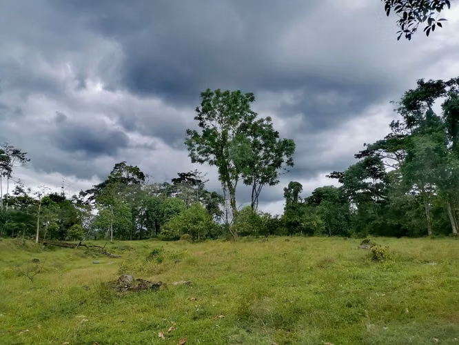 Venta de terreno en Guápiles, Limón 15795 - Imagen 4