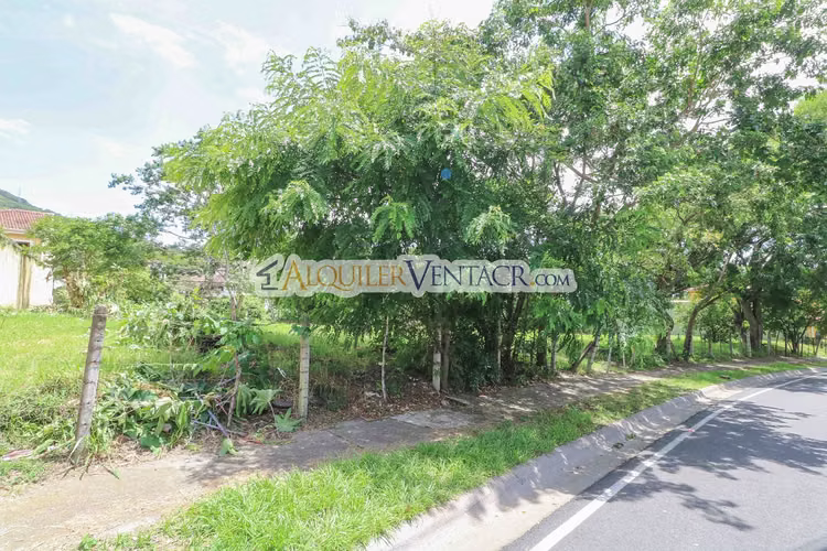 LOTE JABONCILLOS ESCAZU! LOTE PLANO DE 2.640 M2 - Imagen 7