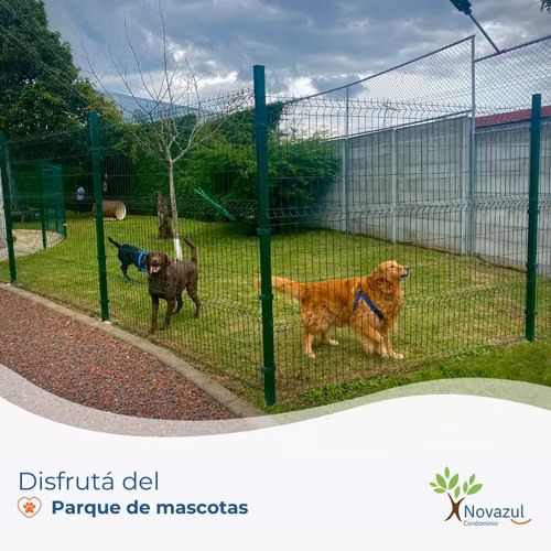 ¡Alajuela Oportunidad Única en venta lote en Condominio Novazul!  - Imagen 5