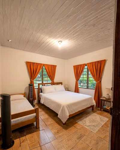 Lote de 10,000 m² con Casa - Guápiles - Imagen 7