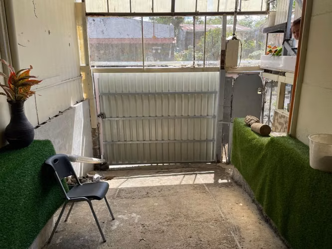 Propiedad con dos casas en venta - Imagen 6
