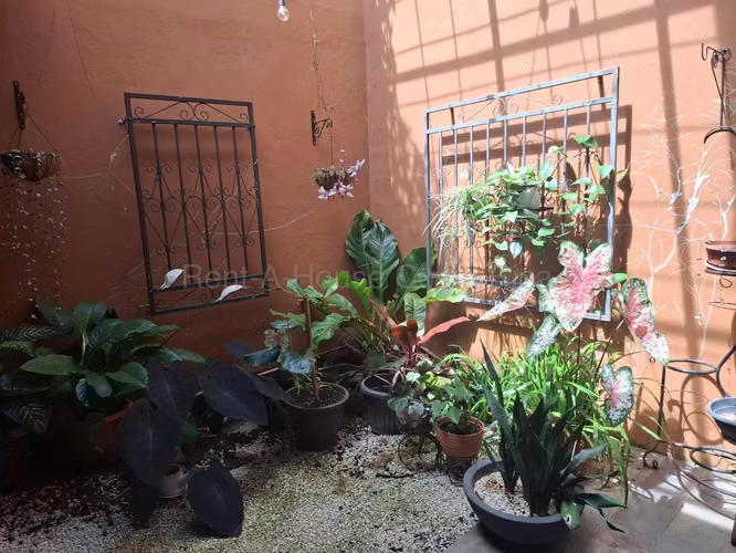 CASA EN MATA DE PLÁTANO | 200 m² + TERRAZAS + OPCIÓN DE 3 HABITACIONES | $194.000 - Imagen 11