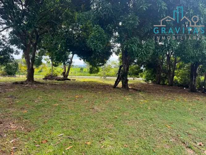 Ventas de propiedad con casa frente a playa Blanca, Puntarenas 3750m2 ID 2040