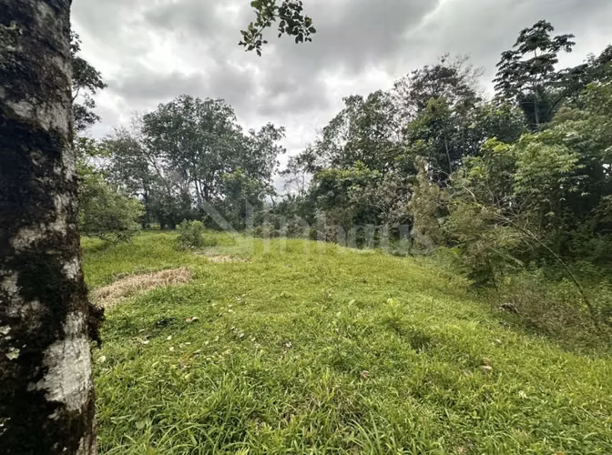 Venta de lote AS - Imagen 4