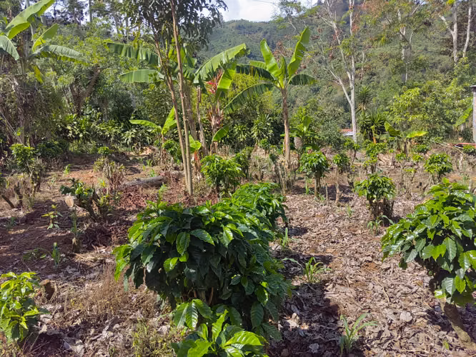 Lote en San Jerónimo de Tarrazú GBV-262