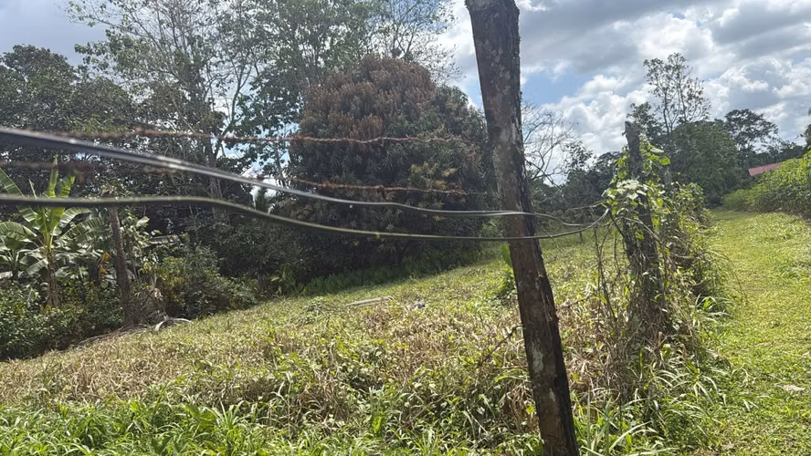 Lote en venta Guácimo, Limon