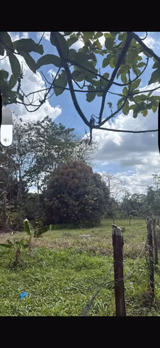 Lote en venta Guácimo, Limon