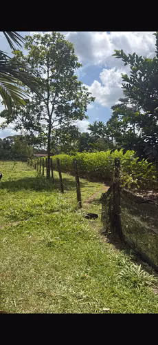 Lote en venta Guácimo, Limon
