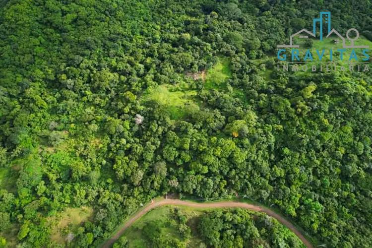 Farm for Sale in Santa Rosa, Guanacaste – 32 Hectares (ID 2043)