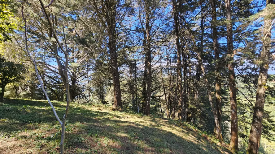SE VENDE CASA DE MONTAÑA EN TARBACA | CLIMA FRÍO Y VISTAS A LAS MONTAÑAS-08