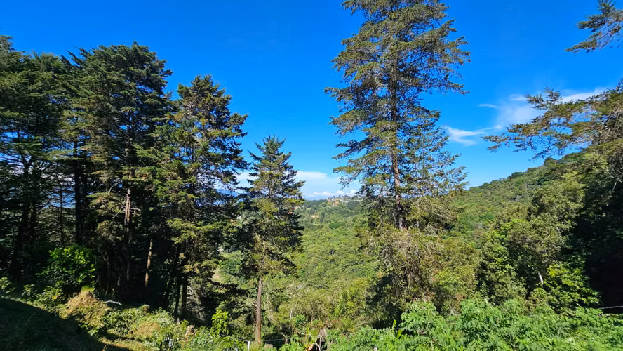 SE VENDE CASA DE MONTAÑA EN TARBACA | CLIMA FRÍO Y VISTAS A LAS MONTAÑAS-08