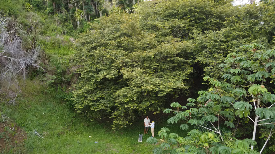 Premium Build-Ready Lot in Gated Community – Playa Hermosa / Jacó, Costa Rica