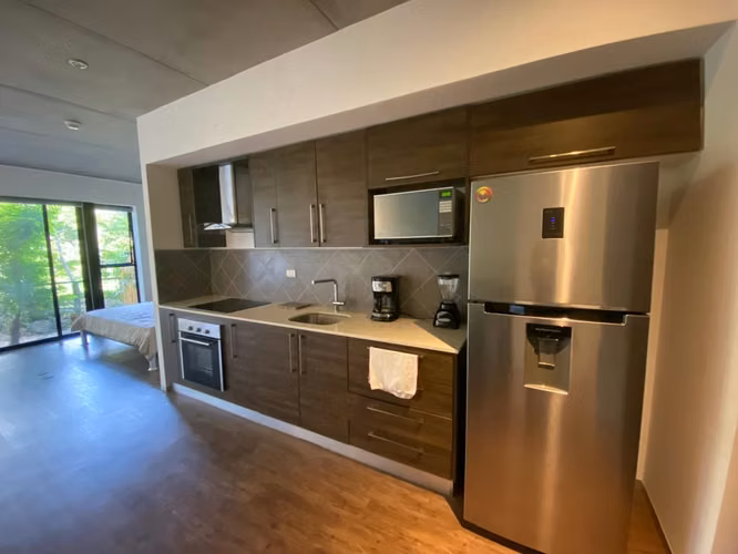 Venta de apartamento amueblado tipo Loft en Brasil de Santa Ana - Imagen 4