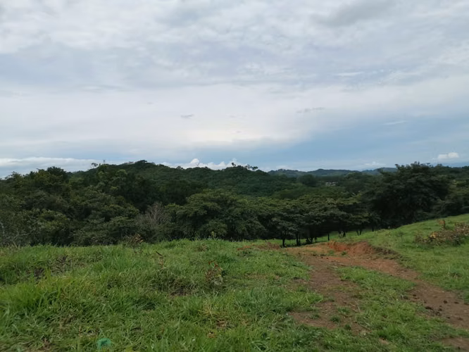 Venta de Finca en Esparza a solo 5 minutos del Centro.