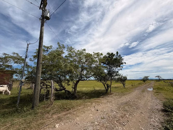Se vende parcela de 7.5 hectareas - Imagen 6