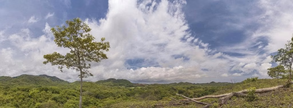 PLAYA TAMARINDO GUANACASTE VENDO LOTE PARA DESARROLLAR CON AGUA - Imagen 4