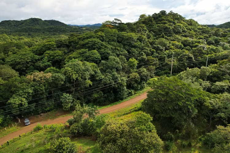 TAMARINDO BEACH LOTE FOR SALE FOR INVESTMENT WITH WATER SERVICE