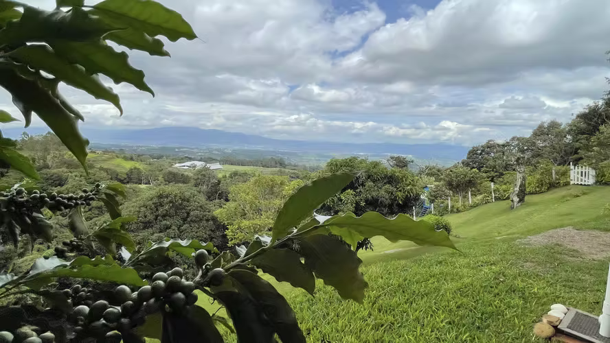 Casa venta Cabuyal de Poás con vista y terreno de 6.387 m² - Imagen 16