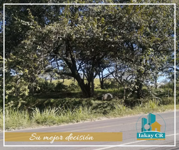 SALE LAND FOR HOUSING DEVELOPMENT LA GARITA