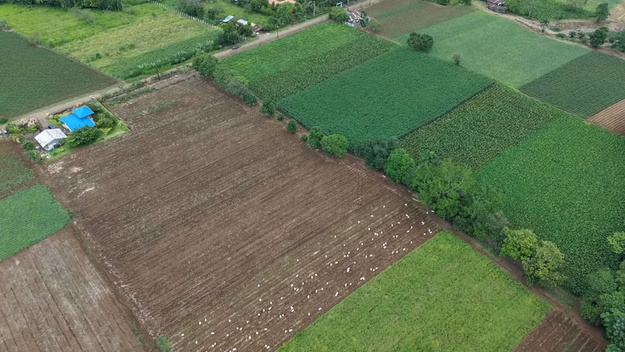 Finca Agrícola Con Casa Y Río — Fortuna - Imagen 6
