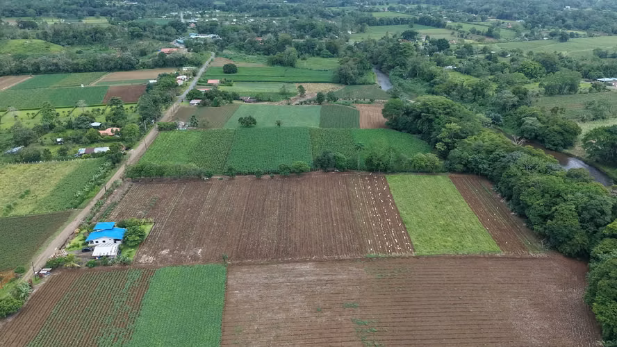 Finca Agrícola Con Casa Y Río — Fortuna - Imagen 8