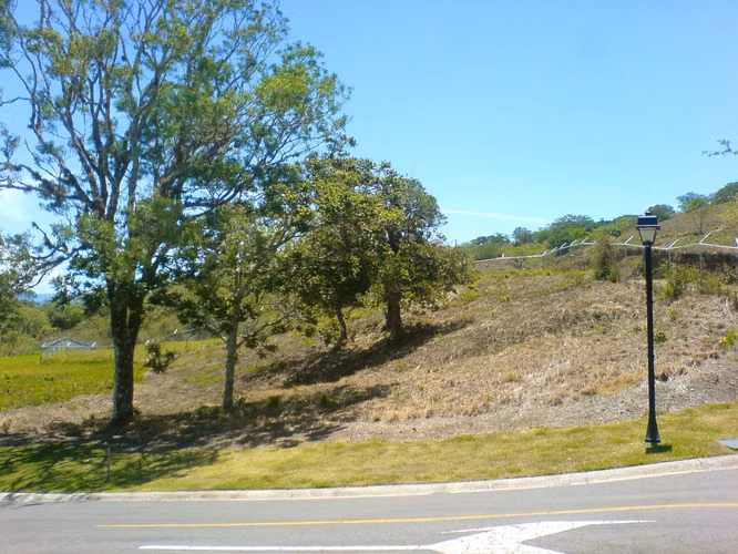 Lote en Condominio Los Bambues Brasil de Mora, 2878 - Imagen 8