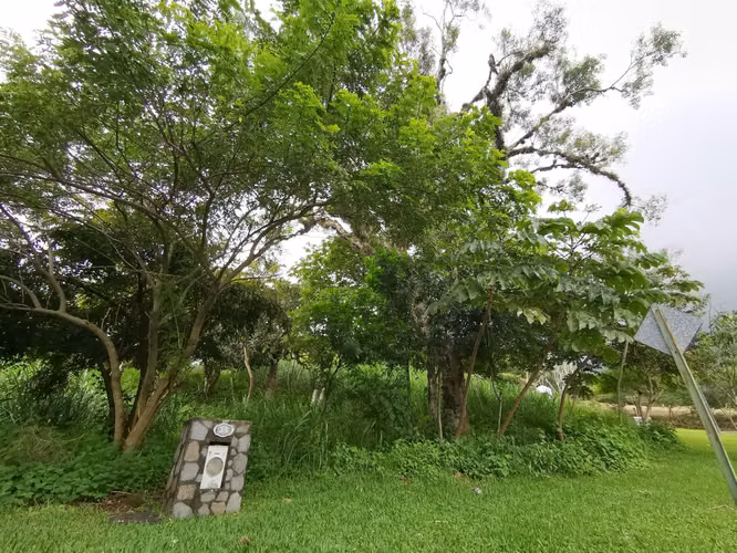 Lote en Condominio Los Bambues Brasil de Mora, 2878 - Imagen 12