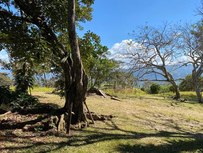 SE VENDE Finca en Guacimo de Atenas 5 hectareas (Alajuela) - Imagen 7